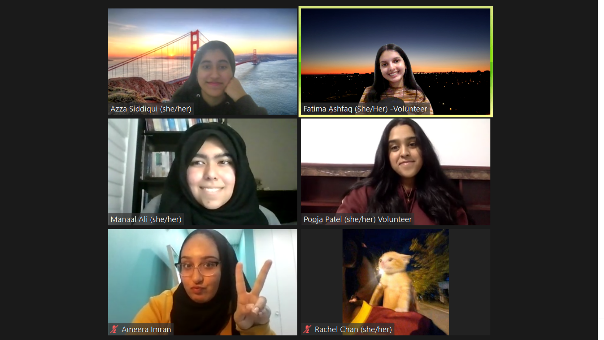Zoom meeting at the UTMSU